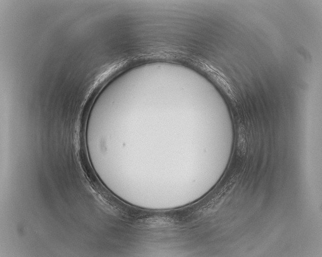 X0000116140578200912071245