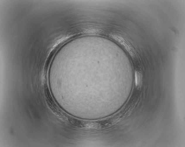 X0000116140579200912071245