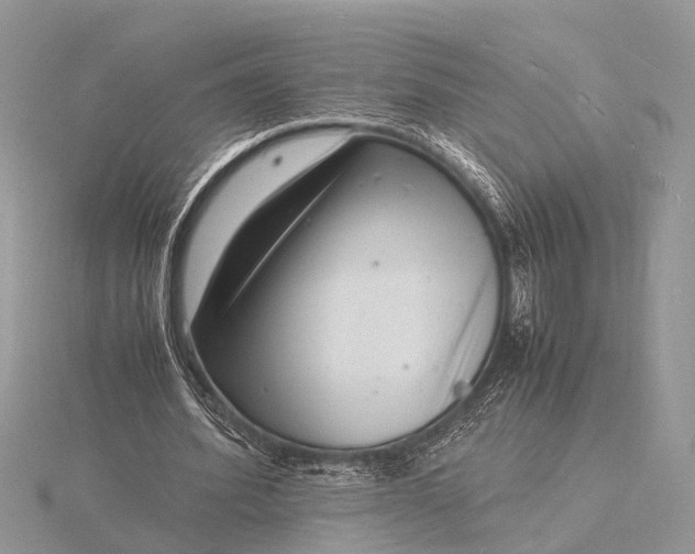 X0000116140580200912071245