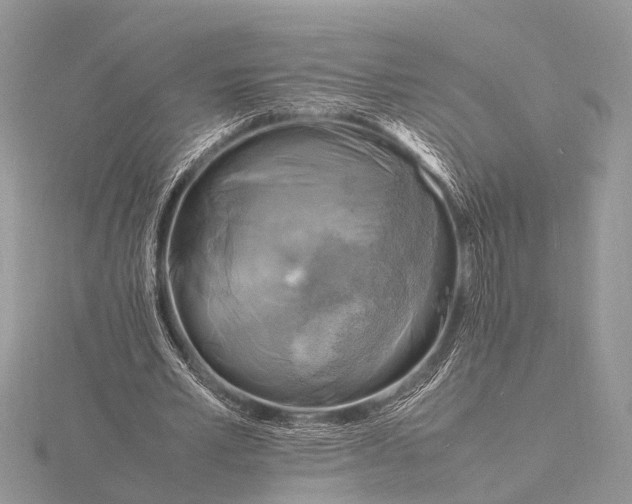 X0000116140581200912071245