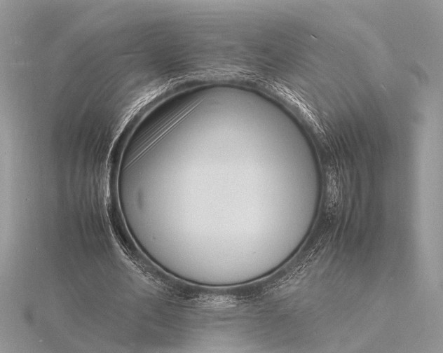 X0000116140582200912071245