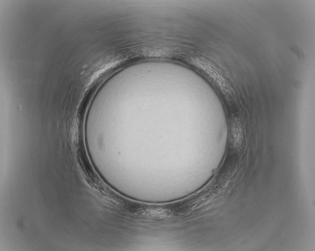 X0000116140583200912071245