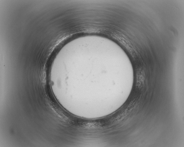 X0000116140584200912071245