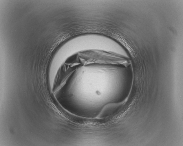 X0000116140585200912071244