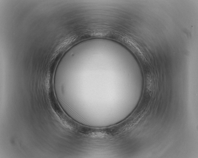 X0000116140586200912071244