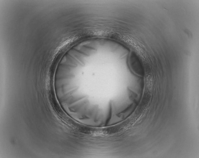 X0000116140587200912071244