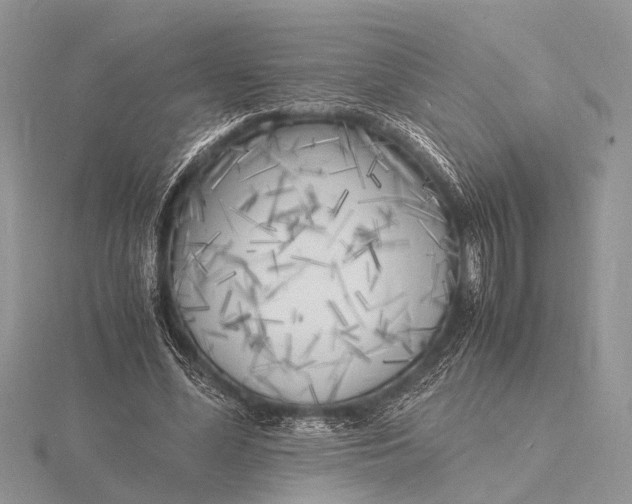 X0000116140588200912071244