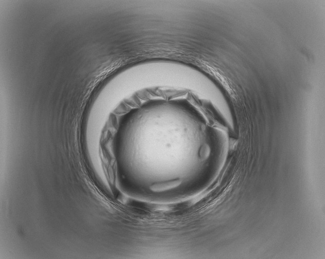 X0000116140589200912071244