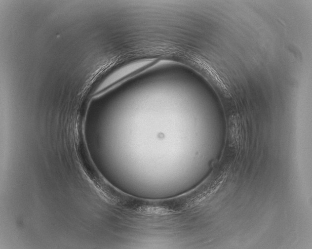 X0000116140590200912071244