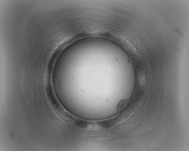 X0000116140591200912071244