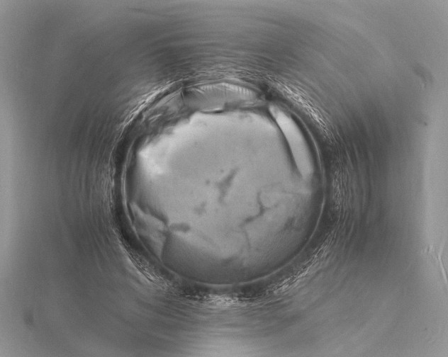 X0000116140592200912071244