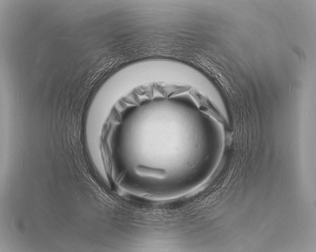 X0000116140593200912071244