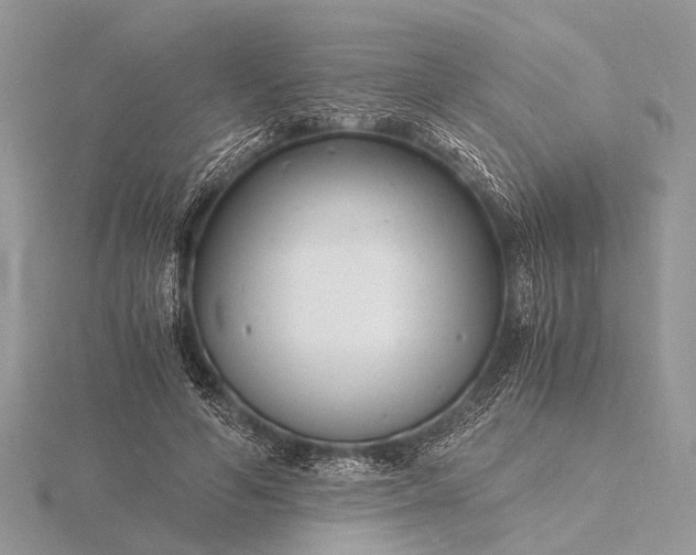 X0000116140594200912071244