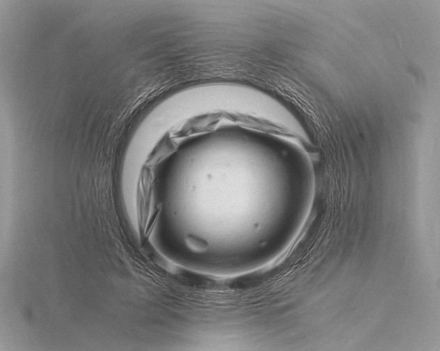 X0000116140595200912071244