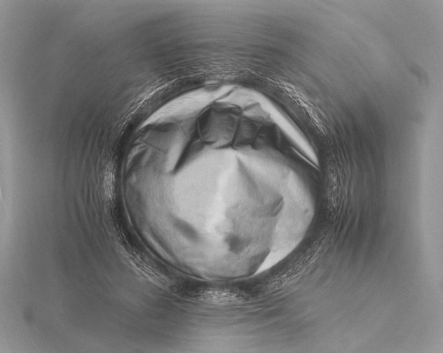 X0000116140596200912071244