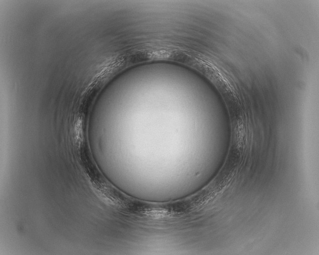 X0000116140598200912071244