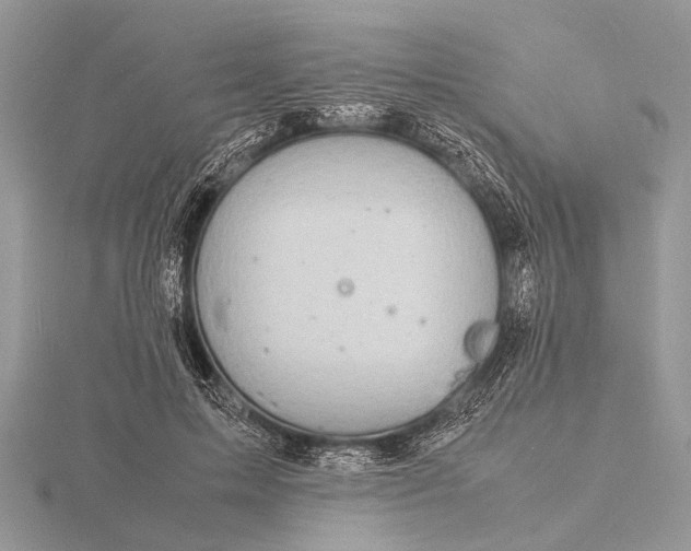 X0000116140599200912071244