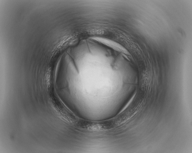 X0000116140600200912071244