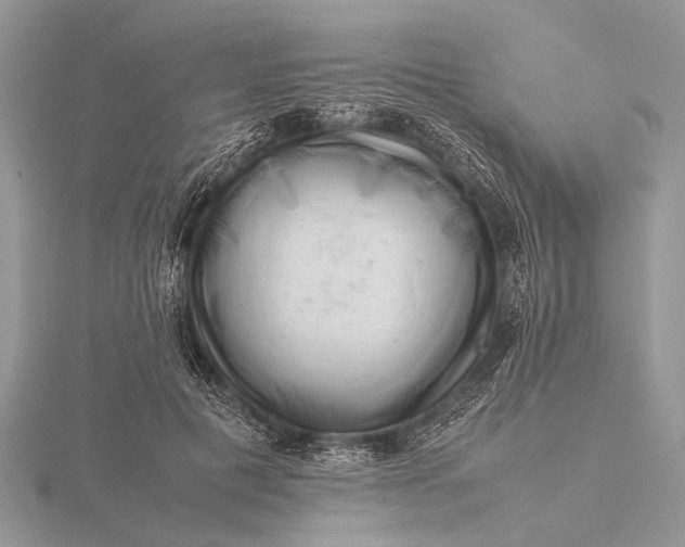 X0000116140601200912071244