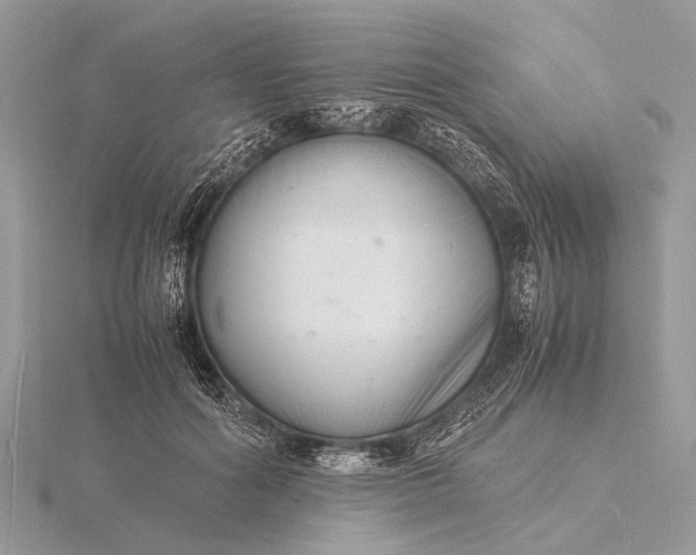 X0000116140602200912071244