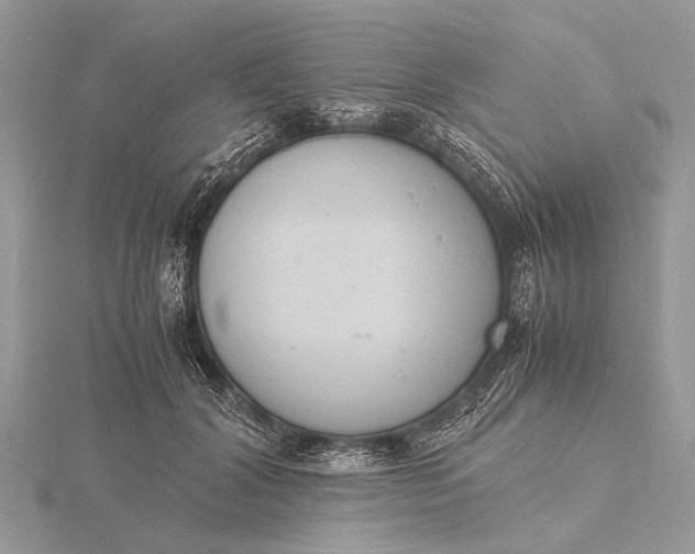 X0000116140604200912071244