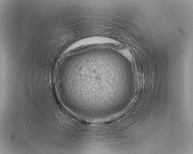 X0000116140605200912071244