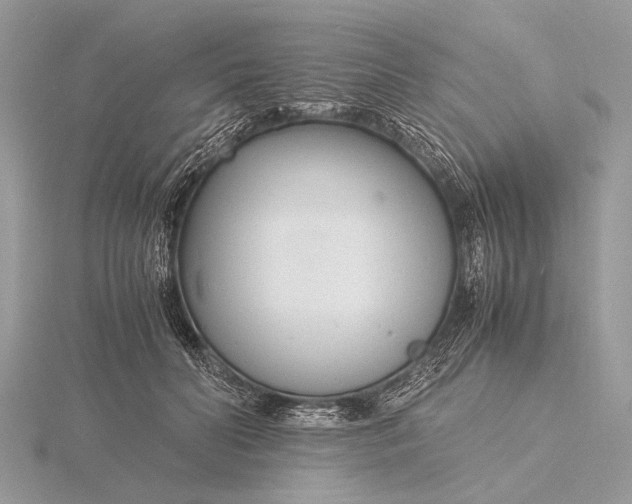 X0000116140606200912071244