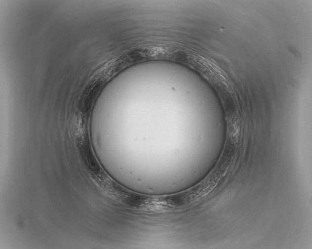 X0000116140607200912071244