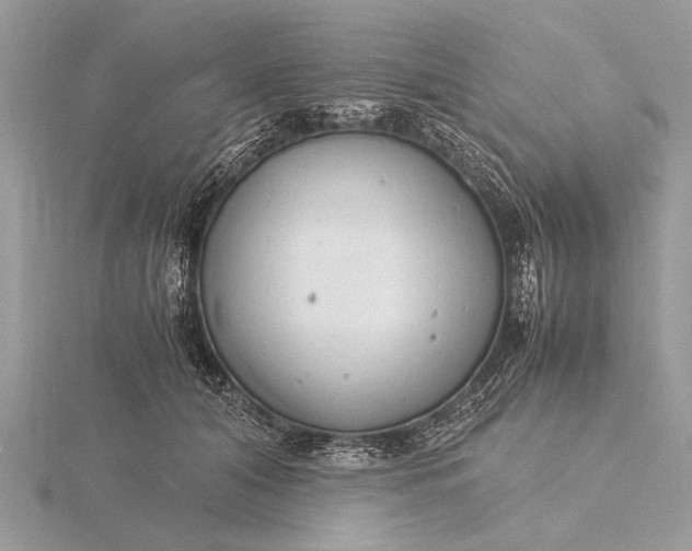 X0000116140608200912071244