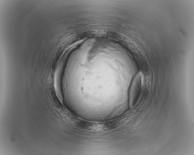 X0000116140609200912071244