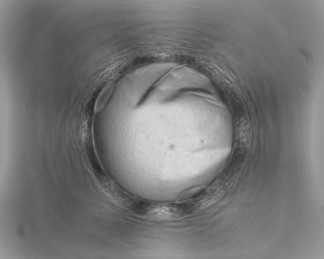 X0000116140611200912071244