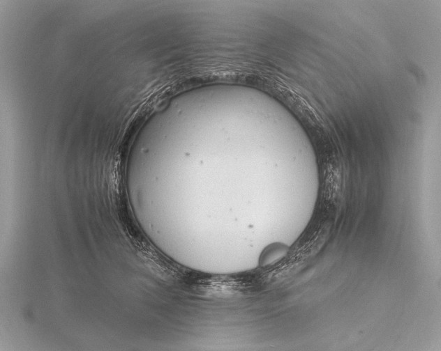 X0000116140612200912071244