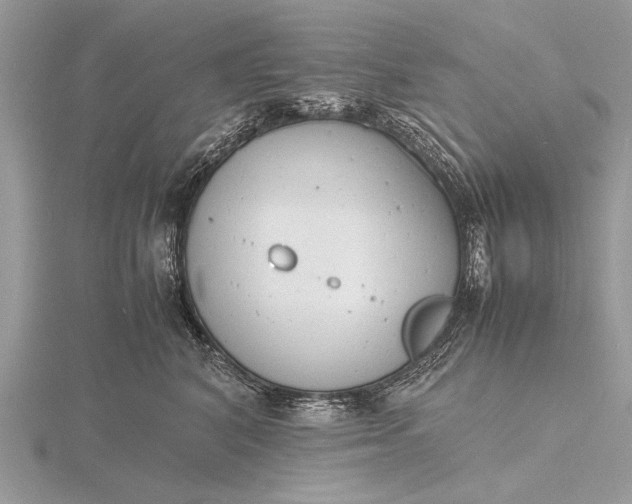 X0000116140616200912071244