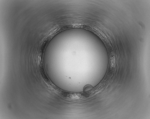 X0000116140618200912071244