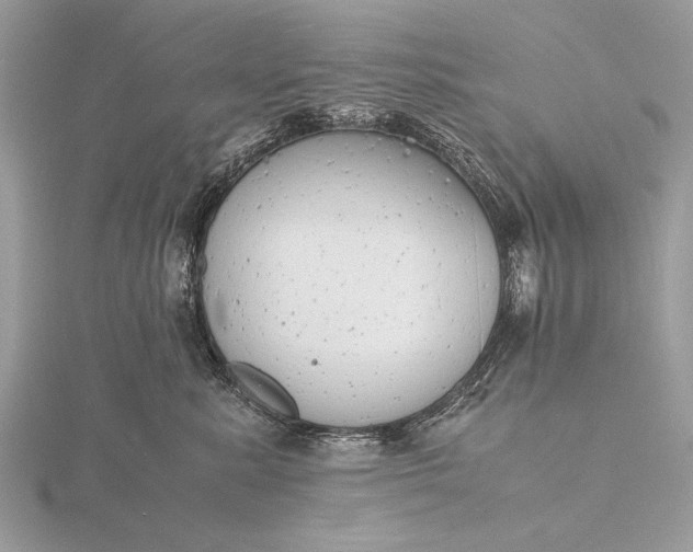 X0000116140619200912071244