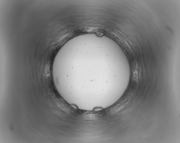 X0000116140620200912071244