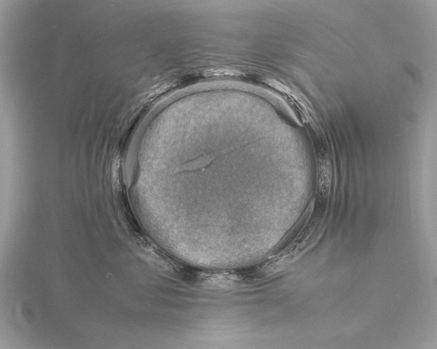 X0000116140621200912071244