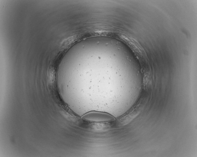 X0000116140623200912071244