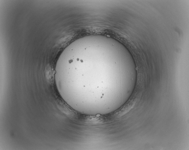 X0000116140624200912071244