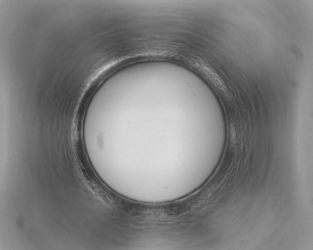 X0000116140628200912071243