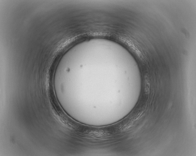 X0000116140631200912071243