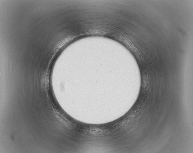 X0000116140632200912071243