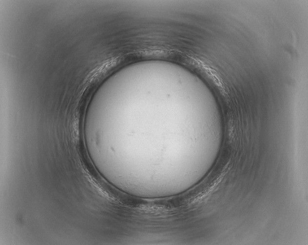 X0000116140633200912071243