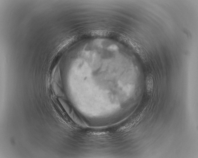 X0000116140637200912071244