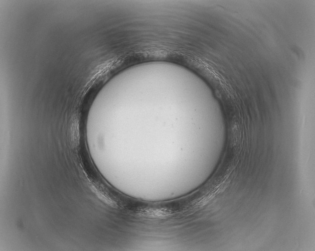 X0000116140638200912071244