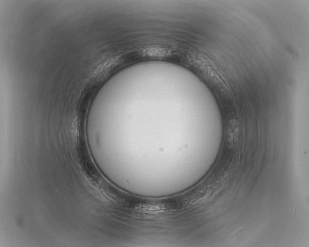 X0000116140639200912071244