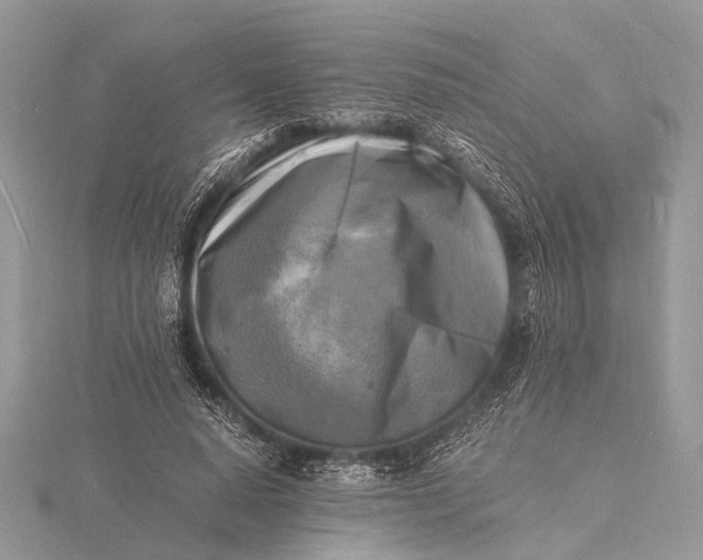 X0000116140640200912071244