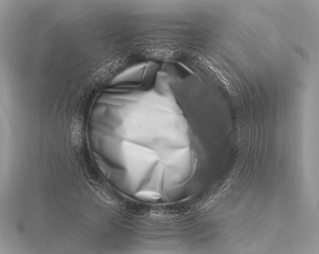 X0000116140641200912071244