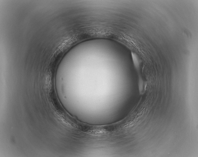 X0000116140642200912071244