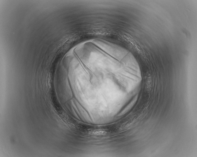 X0000116140643200912071244